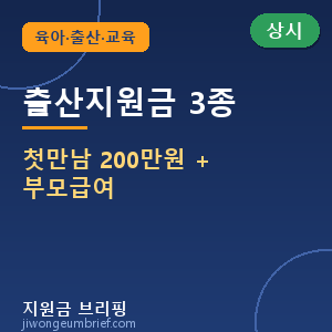 🍼2026 출산지원금 3종 — 첫만남이용권 200만원·부모급여 월 100만원 신청방법 총정리 [🟢 상시 신청]