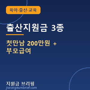 출산지원금 3종 첫만남 200만원 + 부모급여