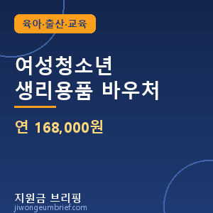 여성청소년 생리용품 바우처 연 168,000원