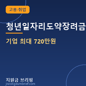 청년일자리도약장려금 기업 최대 720만원