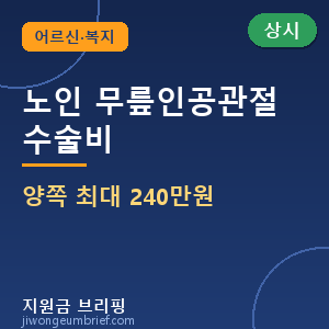 👵노인 무릎인공관절 수술비 지원 — 60세 이상 양쪽 최대 240만원 [🟢 상시·예산소진 주의]