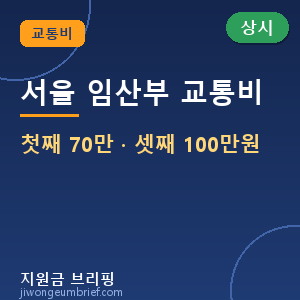 🚌 2026 서울 임산부 교통비 — 첫째 70만원·셋째 100만원 신청방법 총정리 [🟢 상시 신청]