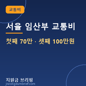 서울 임산부 교통비 첫째 70만 · 셋째 100만원