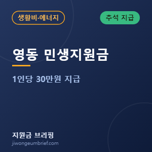 영동군 민생안정지원금 30만원 안내