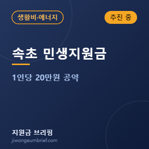 속초시 민생회복지원금 20만원 안내