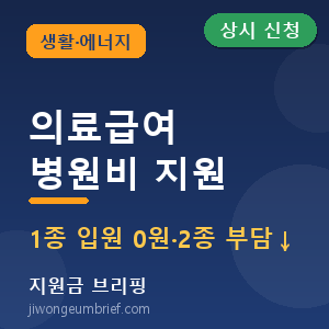 의료급여